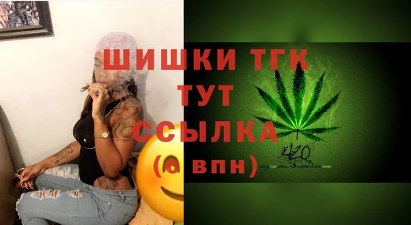 дживик Елабуга