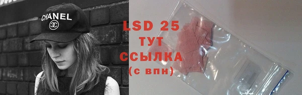 ECSTASY Елизово