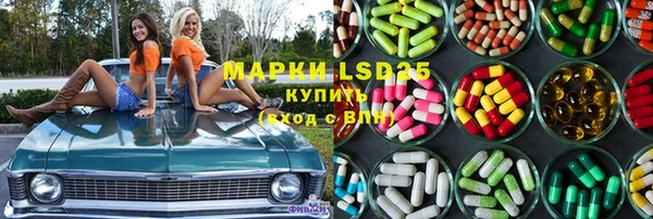 дживик Елабуга
