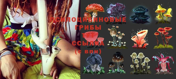 ECSTASY Елизово