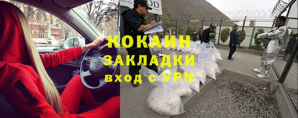 дживик Елабуга