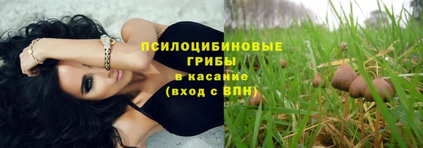 ECSTASY Елизово