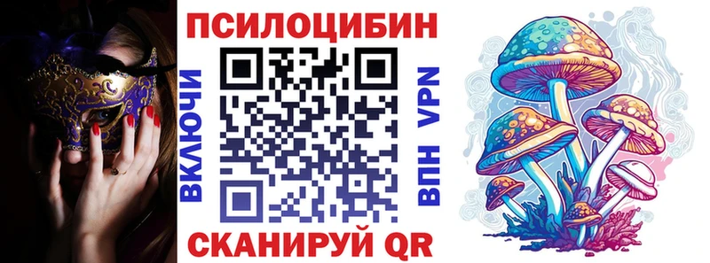 Псилоцибиновые грибы GOLDEN TEACHER  продажа наркотиков  Змеиногорск 